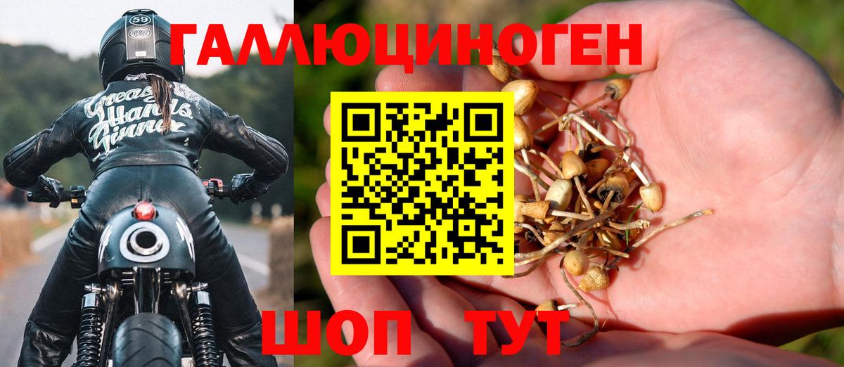 Галлюциногенные грибы мухоморы  Вход с VPN  Галлюциногенные грибы Psilocybine cubensis  Югорск 